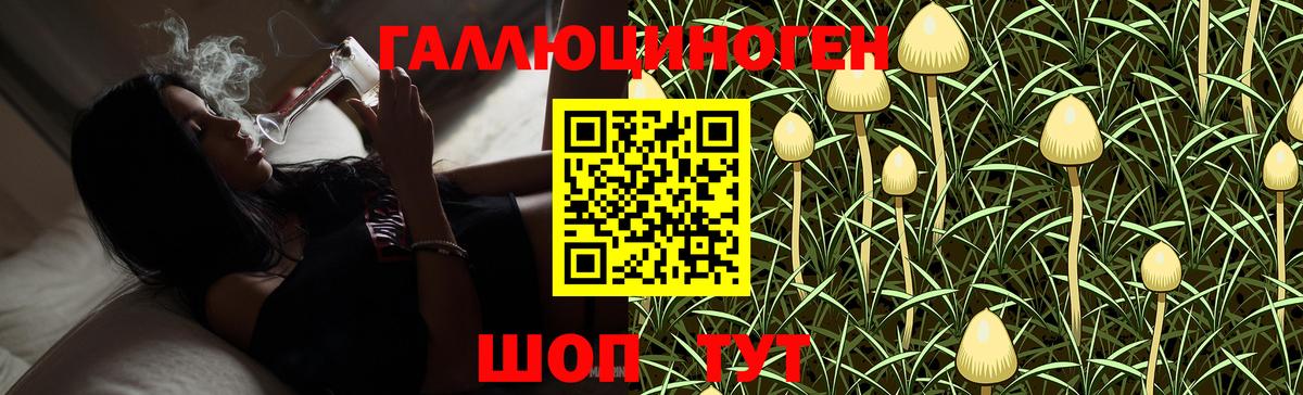 Псилоцибиновые грибы прущие грибы Ейск